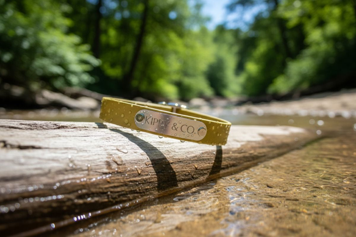 Close-up of engraved nameplate on Gold biothane collar