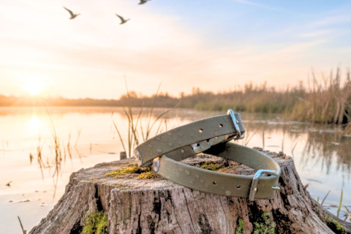 Army Green  - Adventure BioThane Waterproof