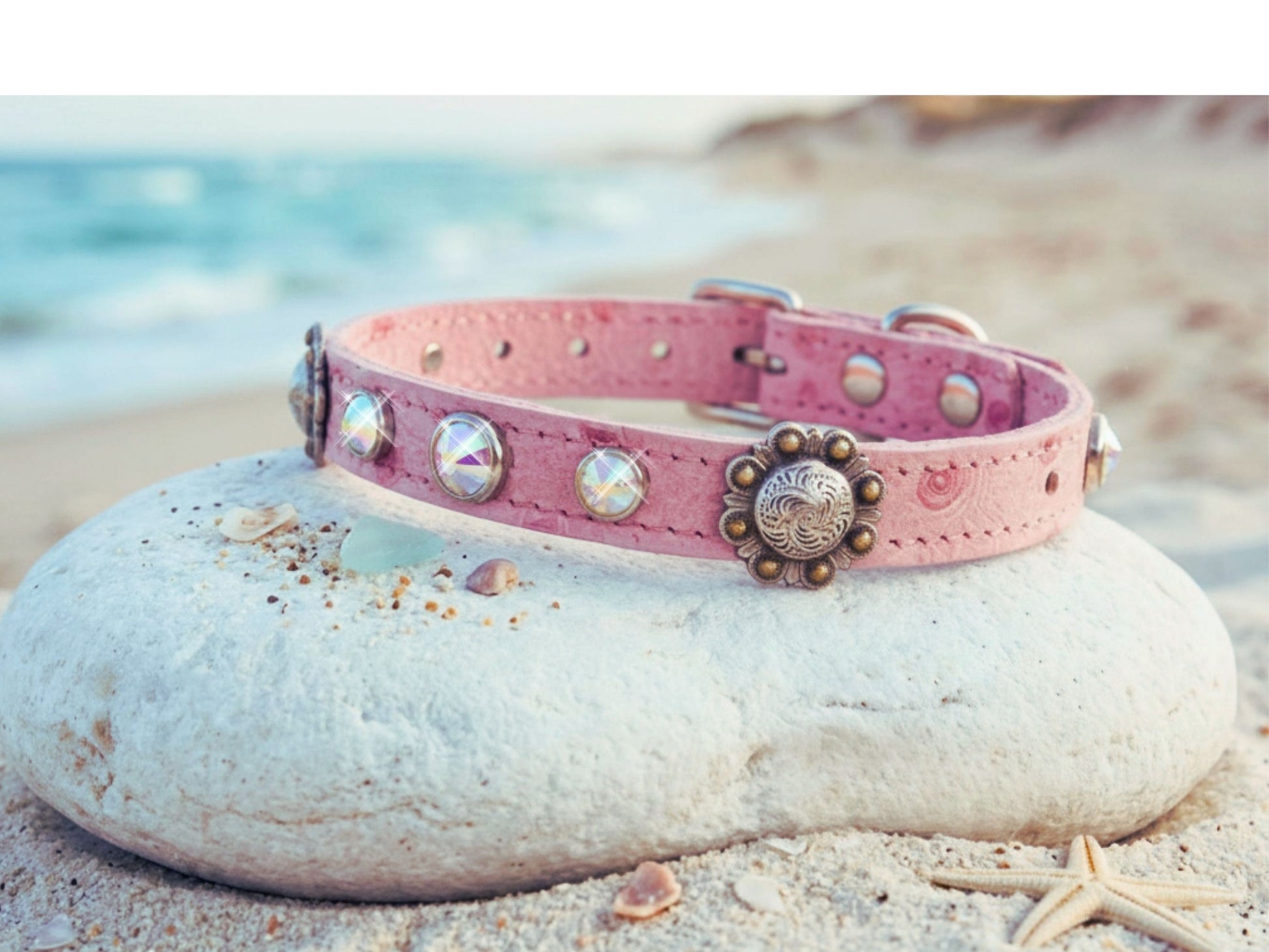 Pink dog collar with decorative elements on a rock by the beach