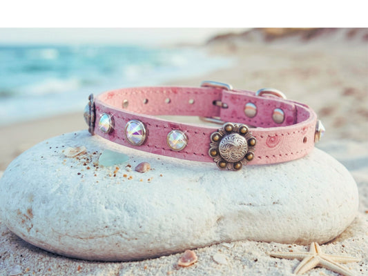 Pink dog collar with decorative elements on a rock by the beach