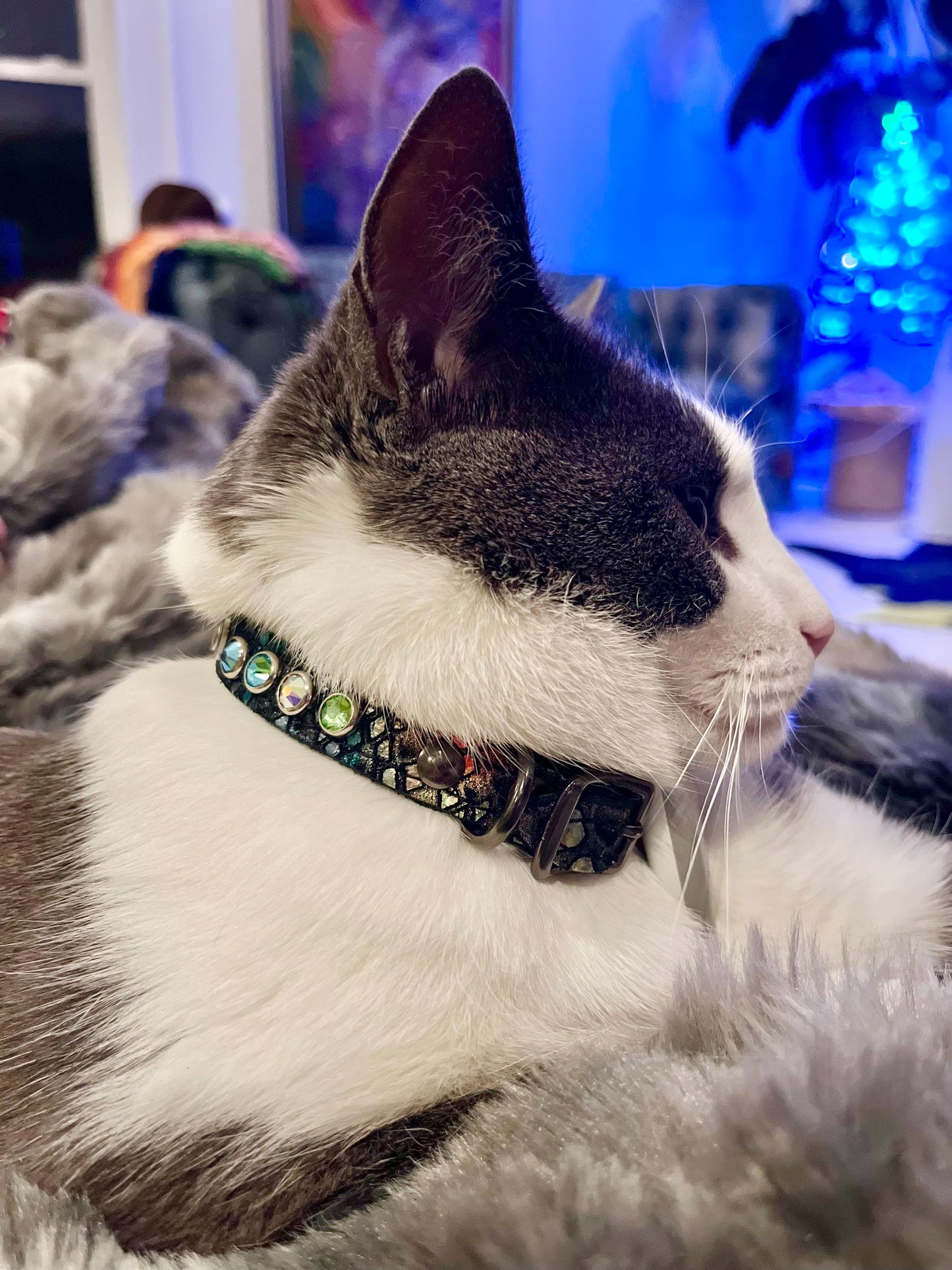 Cat wearing rainbow crystal collar - handmade 1/2 inch leather collar with genuine crystals