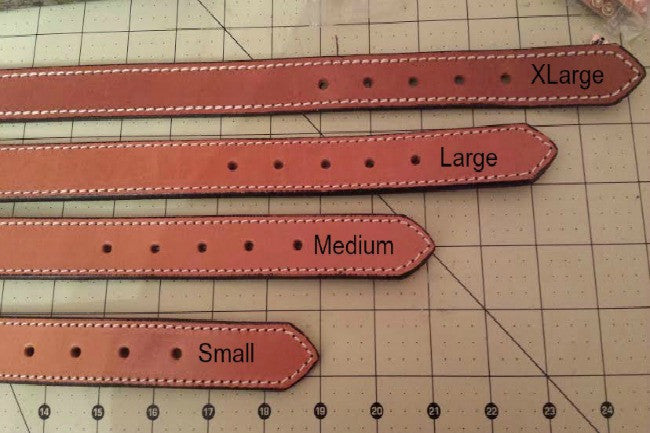 sizing for 12 guage shotgun dog collar