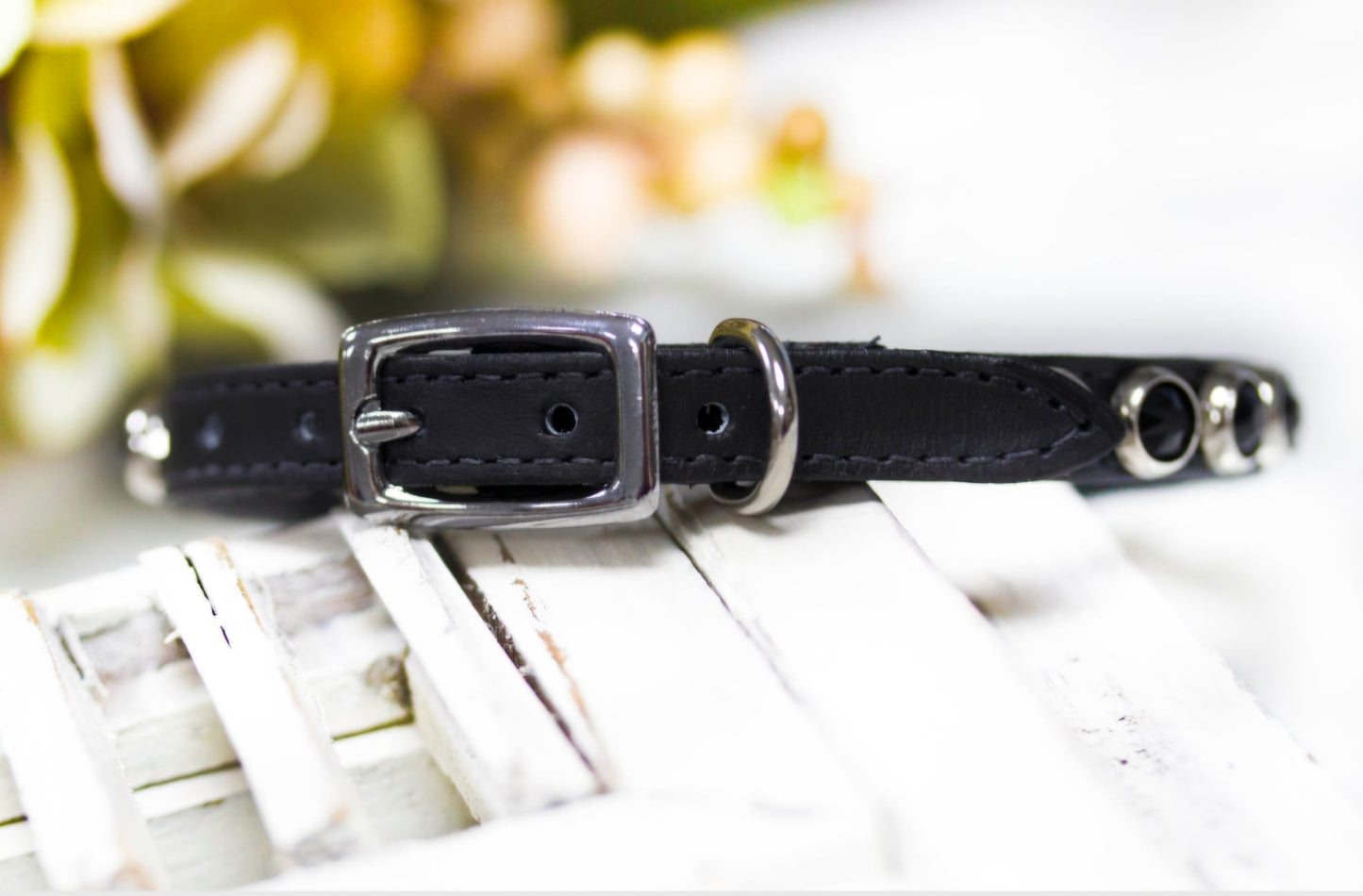 Biker Collar Leather