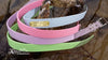 Waterproof Dog Collar in Pastel Colors With Engraved Name Plate