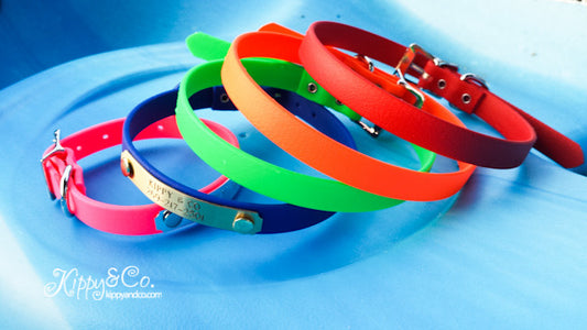 Waterproof biothane dog collars in pink, blue, green, orange, and red floating in water