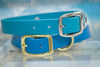 Bahama Blue waterproof dog collar with personalized name plate