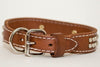 Leather Studded Dog Collar in Black or Brown With Engraved Name
