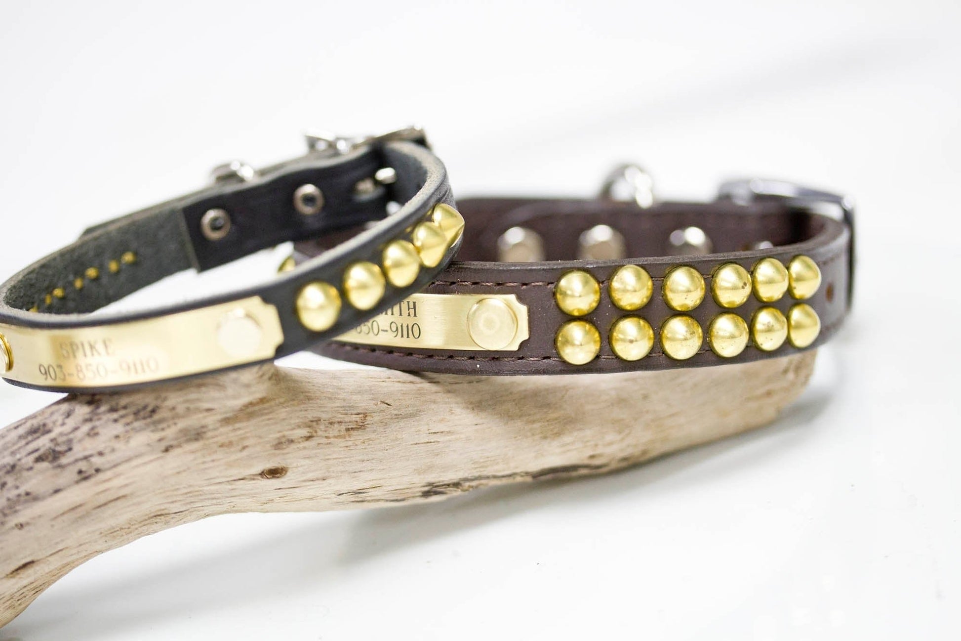 Small Leather Collar With Personalized Name Plate and Brass Cone Studs