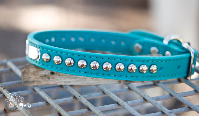 Personalized Turquoise Studded Collar