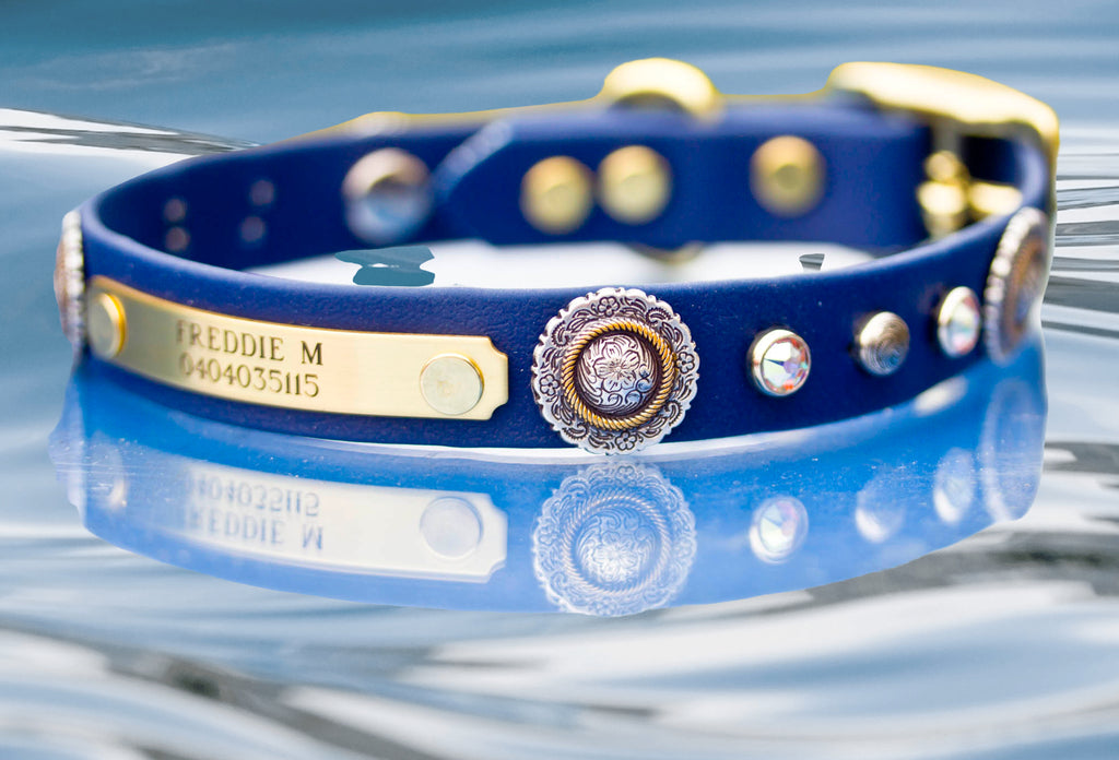 waterproof collar with engraved name plate, floral swirl conchos, swirl spot and AB swarovski crystals