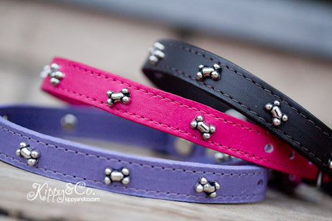 Colorful Leather Dog Collar