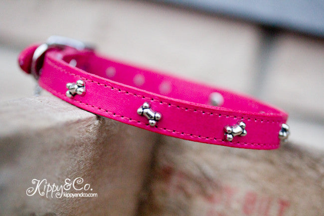 Leather Dog Collar with Bones