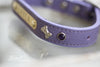 Personalized Leather Bone Crystal Dog Collar With Engraved Name Plate