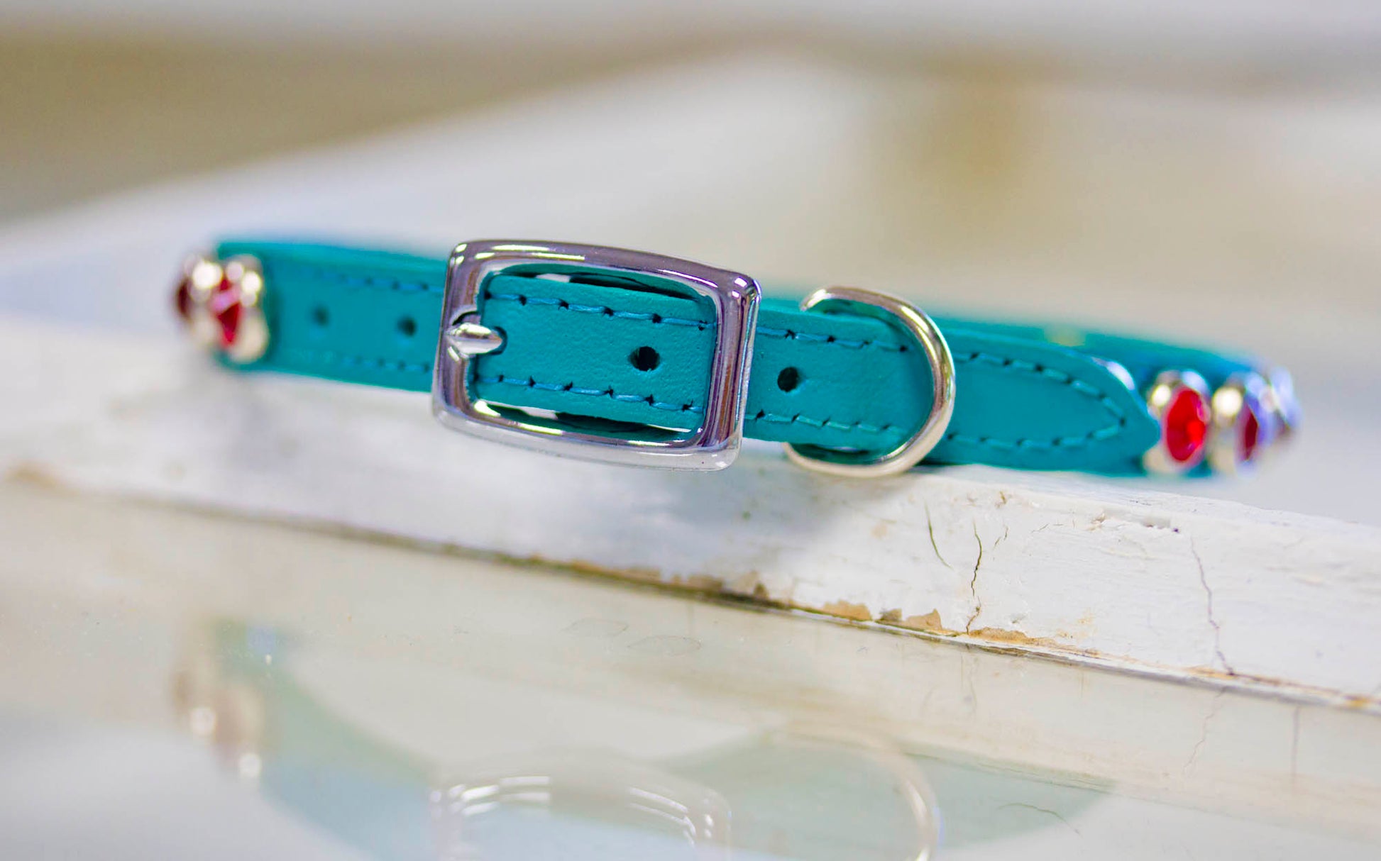 Small lether Collar with Red Siam Crystals and personalized name plate