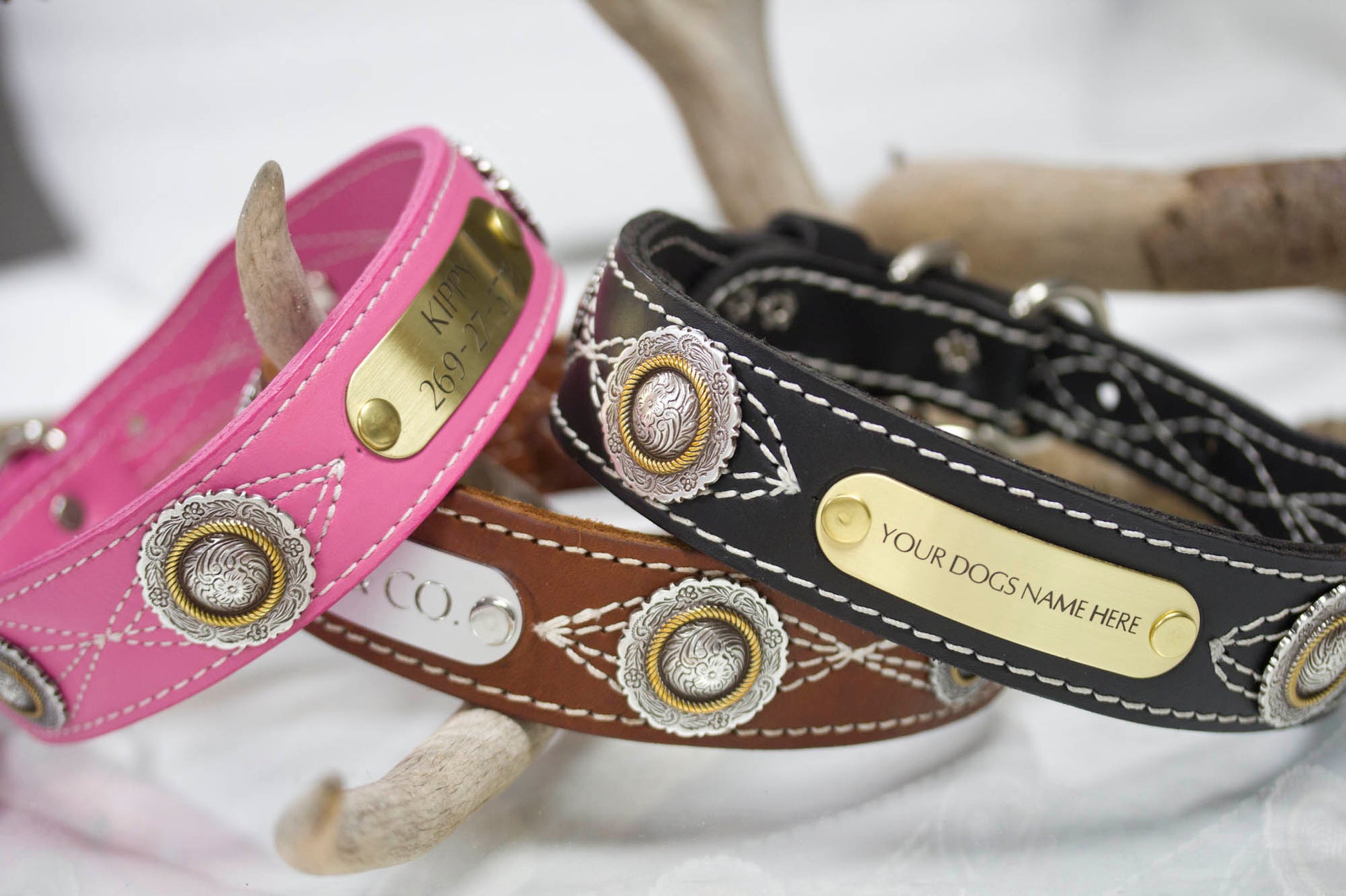 Leather Dog Collar with Personalized name plate and  antique silver floral engraved conchos with brass rope center