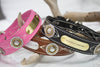 Leather Dog Collar with Personalized name plate and  antique silver floral engraved conchos with brass rope center