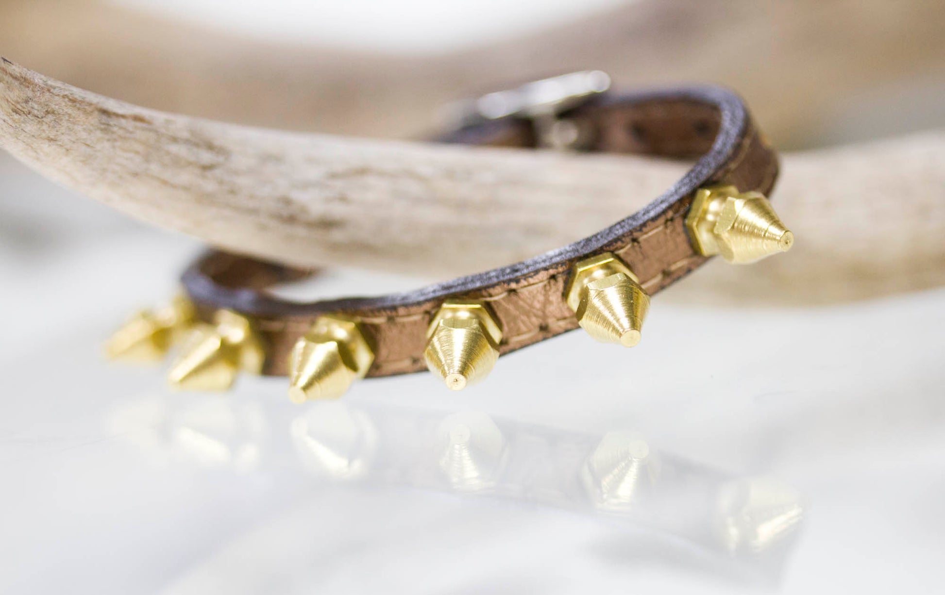 tiny collar with brass spikes