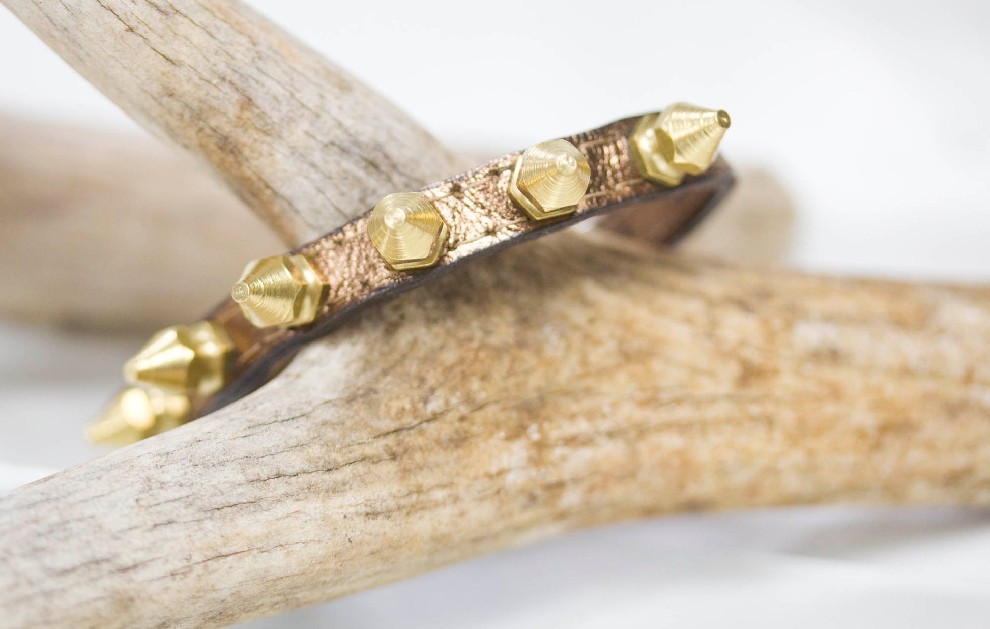 tiny collar with brass spikes