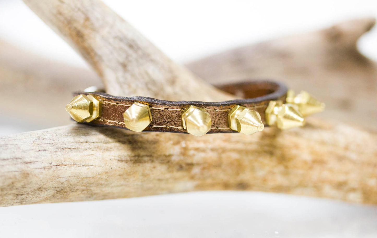 tiny collar with brass spikes