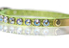 Leather Collar 1/2 inch wide with swarovski crystals and personalized name plate