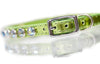 Leather Collar 1/2 inch wide with swarovski crystals and personalized name plate