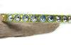 Leather Collar 1/2 inch wide with swarovski crystals and personalized name plate