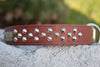 Big Dog Studded Personalized Leather Dog Collar
