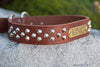 Big Dog Studded Personalized Leather Dog Collar