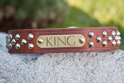 Leather Dog Collar for Big Dogs