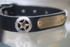 Texas Star Leather Dog Collar With Engraved Brass Name Plate