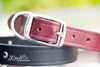 Texas Star Leather Dog Collar With Engraved Brass Name Plate