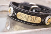 Leather Collar with Texas Stars conchos and engraved name plate