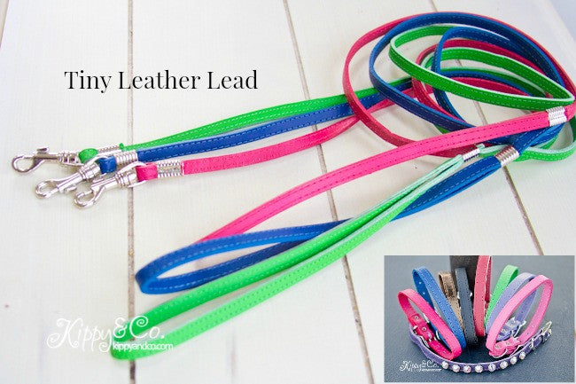 Tiny Leather Lead 3/8 inch wide 