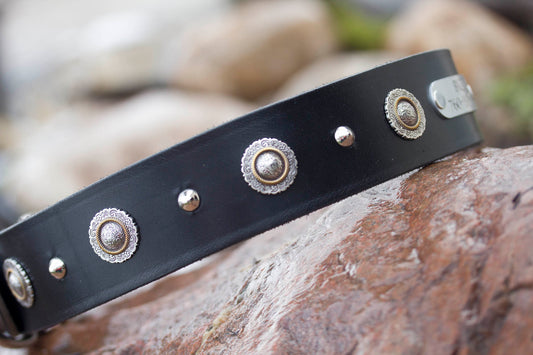 Leather Dog Collar 2 inches wide nickel cone studs alternated between a floral concho with detail and a rope edge
