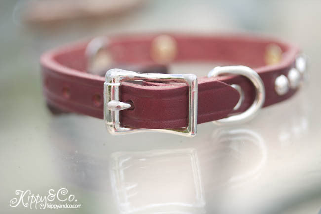 1/2 inch wide leather dog collar with silver cone studs and winchester conchos