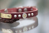 1/2 inch wide leather dog collar with silver cone studs and winchester conchos