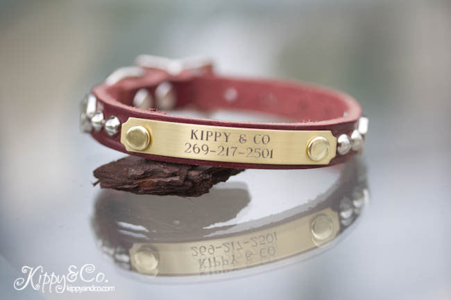 1/2 inch wide leather dog collar with silver cone studs and winchester conchos