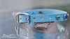 Small Pet Collar With Personalized Name Plate, Silver Spots and Cobalt Blue Crystals