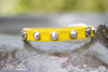 small pet collar with AB Swarovski Crystals and conchos