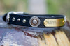Leather Dog Collar With Antique Silver Floral Conchos, Silver Spots and Black Diamond Crystals, Personalized Name Plate