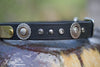 Leather Dog Collar With Antique Silver Floral Conchos, Silver Spots and Black Diamond Crystals, Personalized Name Plate