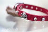 Skull and Crossbones Leather Collar with Crystals 