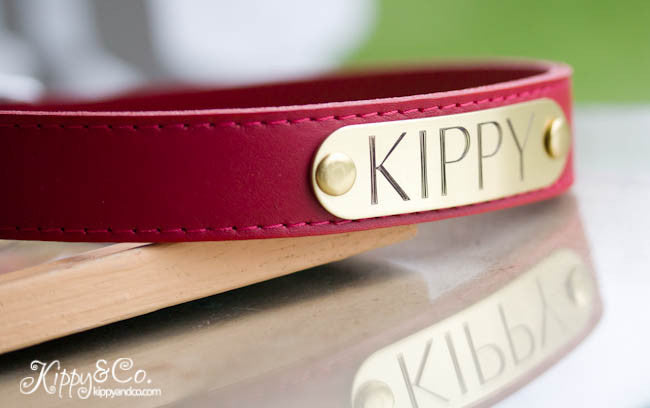 Leather Dog Collar With Personalized Name Plate