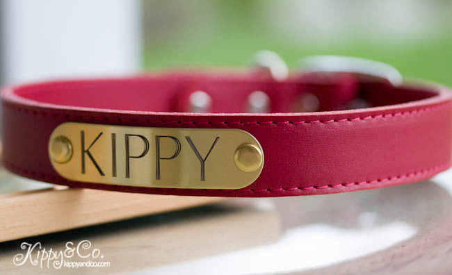 Leather Dog Collar With Personalized Name Plate