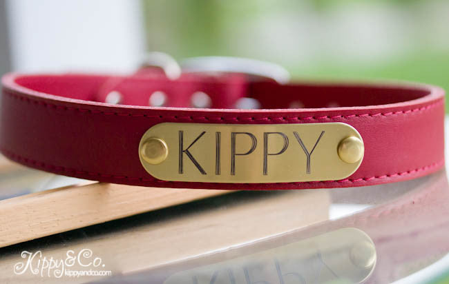 Leather Dog Collar Personalized