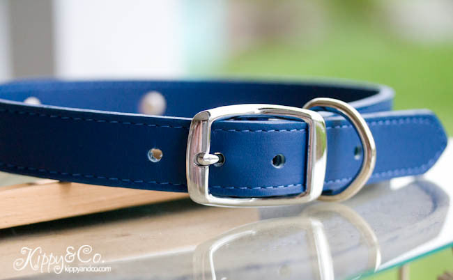 Leather Dog Collar With Personalized Name Plate