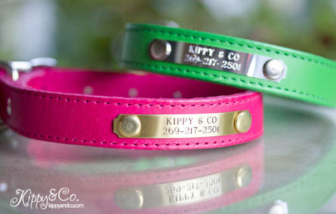 Personalized Leather Dog Collar