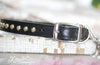 Leather Dog Collar with Personalized Name Plate and silver cone studs