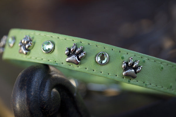 Swarovski Crystal Dog Collar Regency Lime Green- Unique Leather Dog Collars  at
