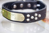 Personalized Black Leather Studded Collar  With Engraved Name Plate